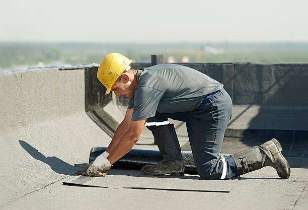 Best Insulation Replacement Services  in Edburgh, IN